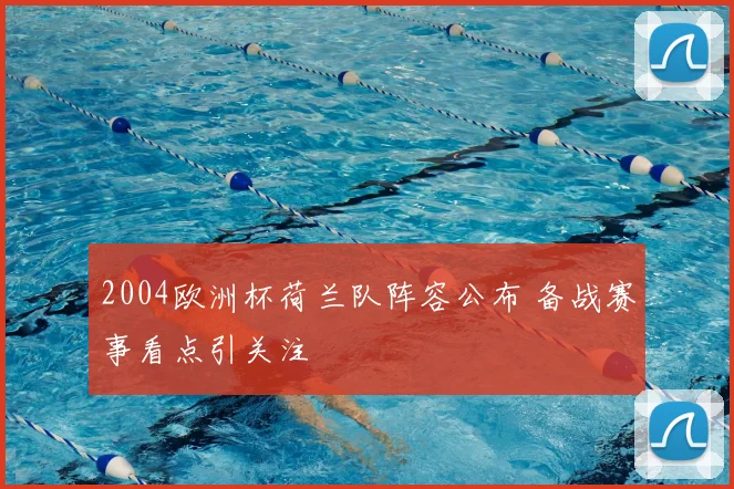 2004欧洲杯荷兰队阵容公布 备战赛事看点引关注