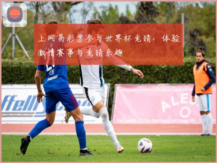 上网易彩票参与世界杯竞猜,体验激情赛事与竞猜乐趣