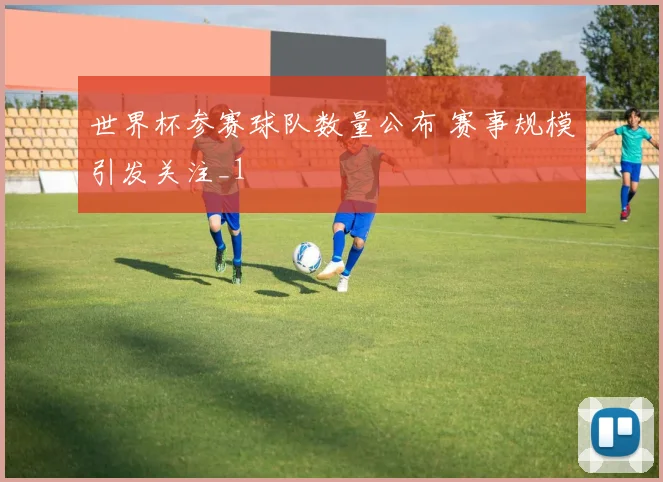 世界杯参赛球队数量公布 赛事规模引发关注_1
