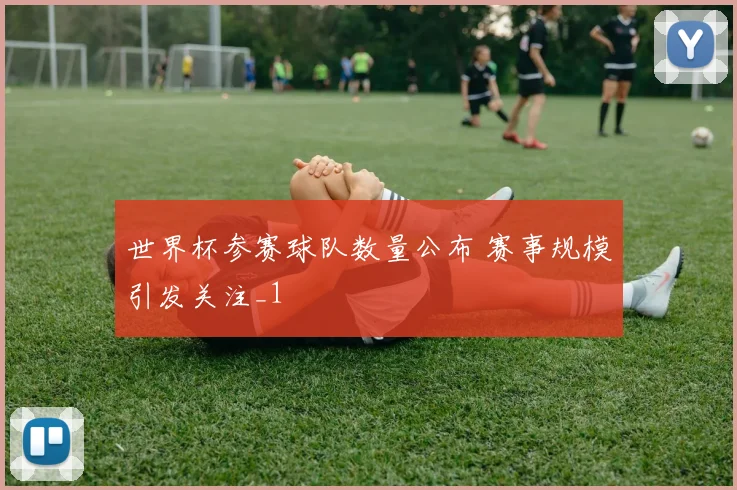 世界杯参赛球队数量公布 赛事规模引发关注_1