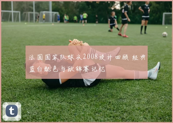 法国国家队球衣2008设计回顾 经典蓝白配色与欧锦赛记忆