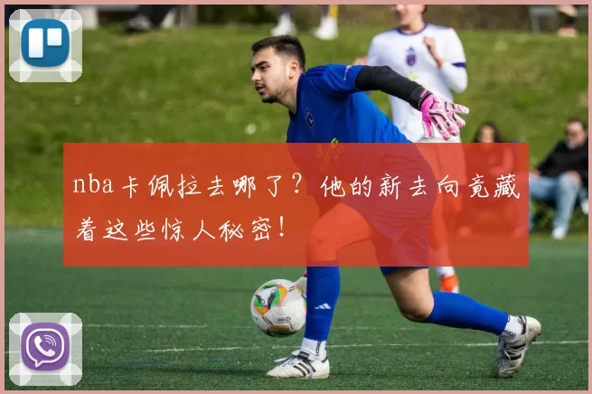 nba卡佩拉去哪了?他的新去向竟藏着这些惊人秘密!