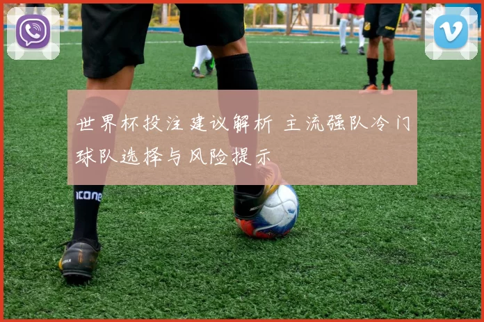 世界杯投注建议解析 主流强队冷门球队选择与风险提示