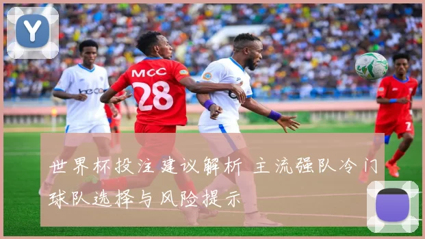 世界杯投注建议解析 主流强队冷门球队选择与风险提示